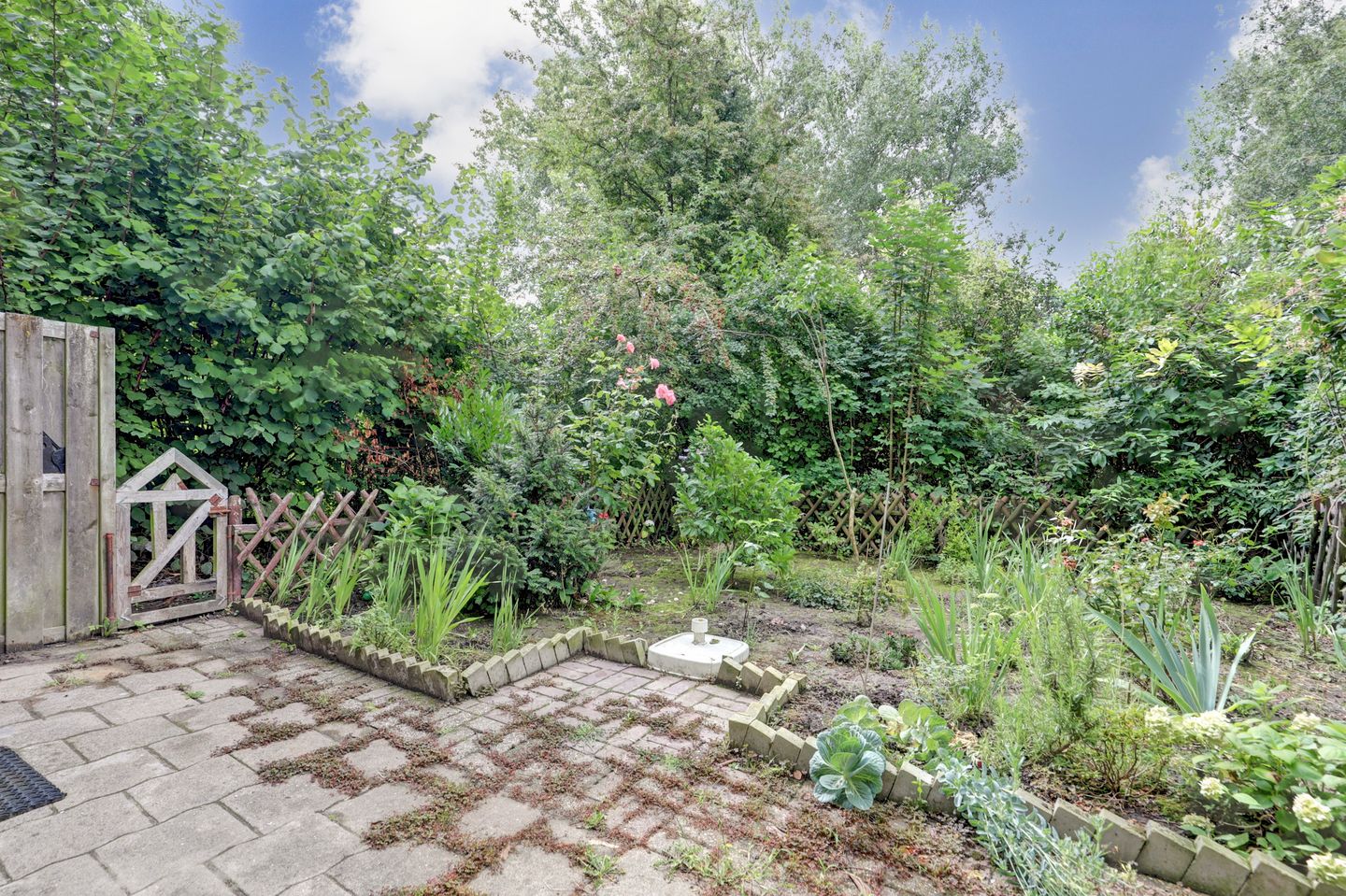 Foto 29 van Westerzicht 381