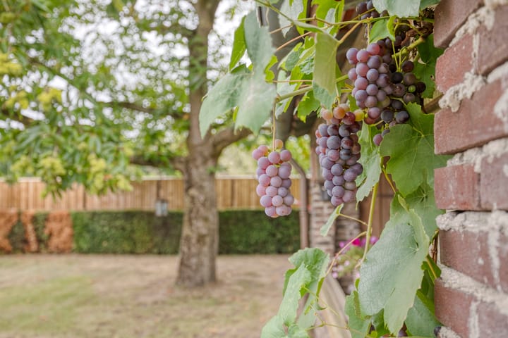 Foto 55 van Kerkweg 2