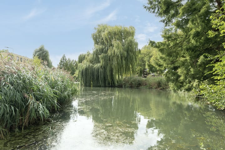 Foto 28 van Koningshof 69