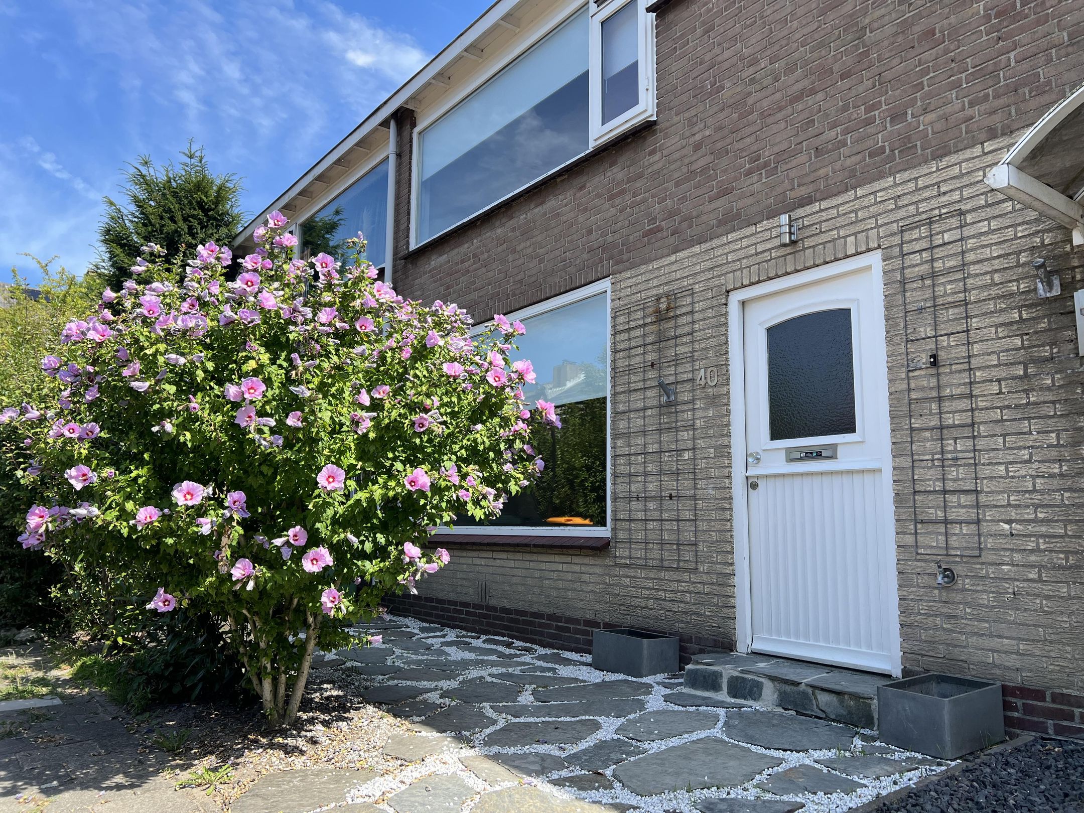 Foto 3 van van Wassenaarstraat 40