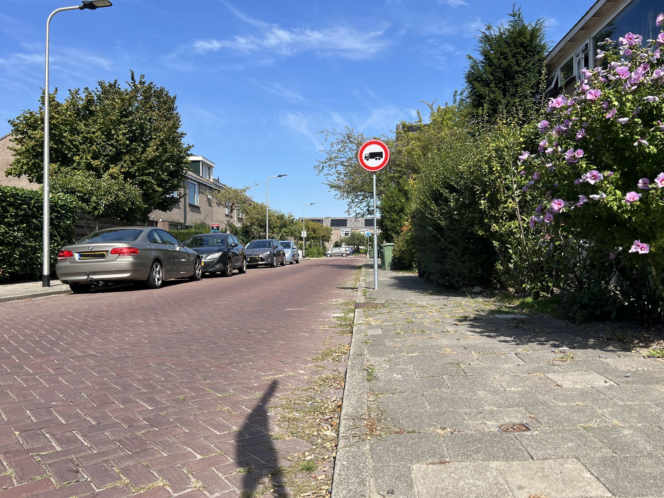 Foto 36 van van Wassenaarstraat 40