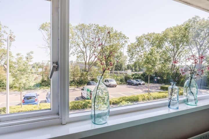 Foto 22 van Groene Zoom 59