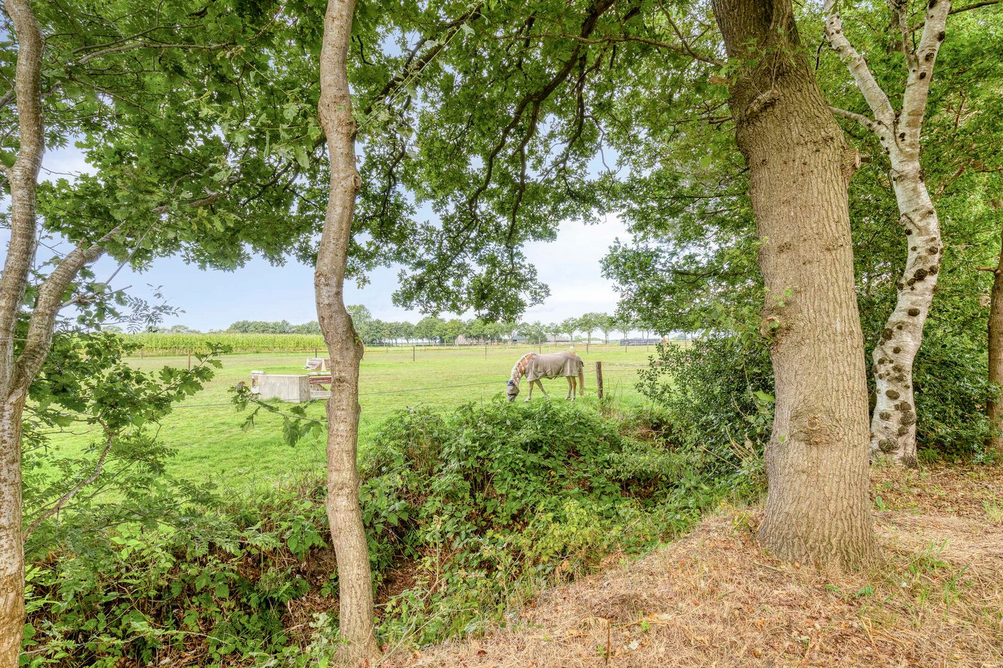 Foto 20 van Weperpolder 33-A88