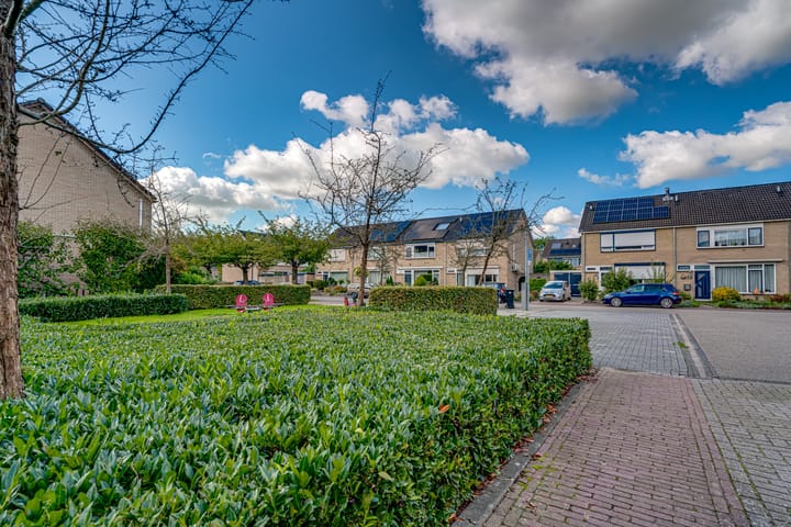 Foto 34 van Schaapsdrift 45