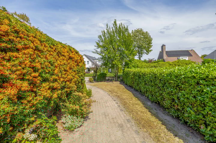 Foto 27 van Wilde Wingerd 21