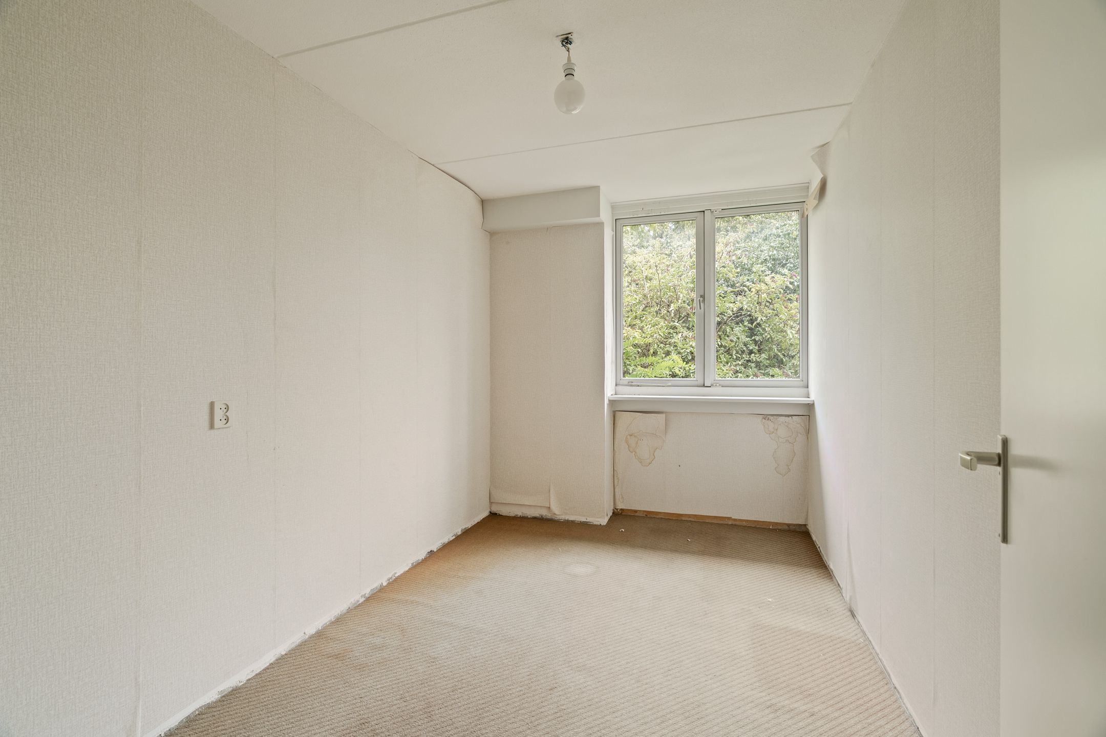 Foto 15 van Breedspoor 56