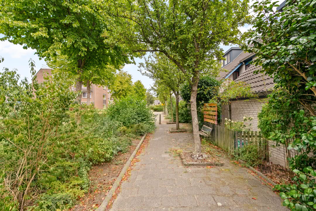 Foto 22 van Breedspoor 56