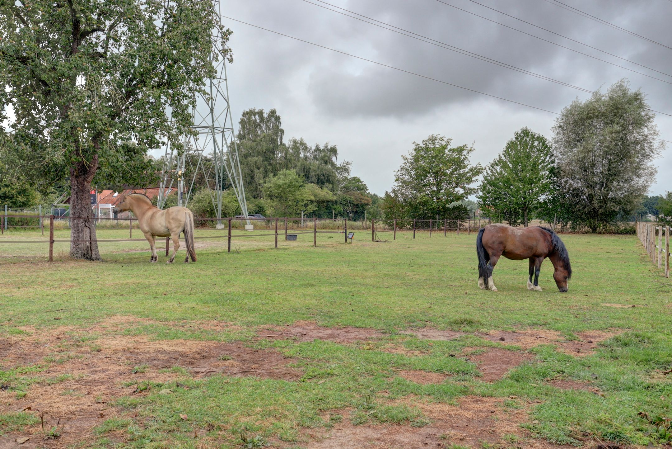 Foto 30 van Vierakkersestraatweg 3