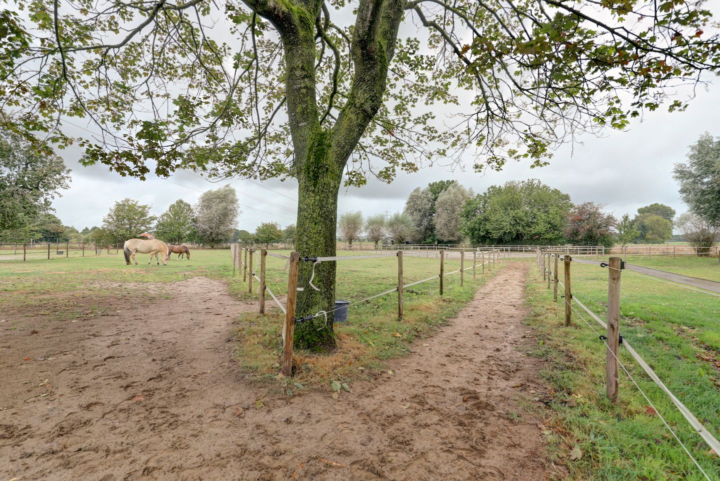 Foto 35 van Vierakkersestraatweg 3