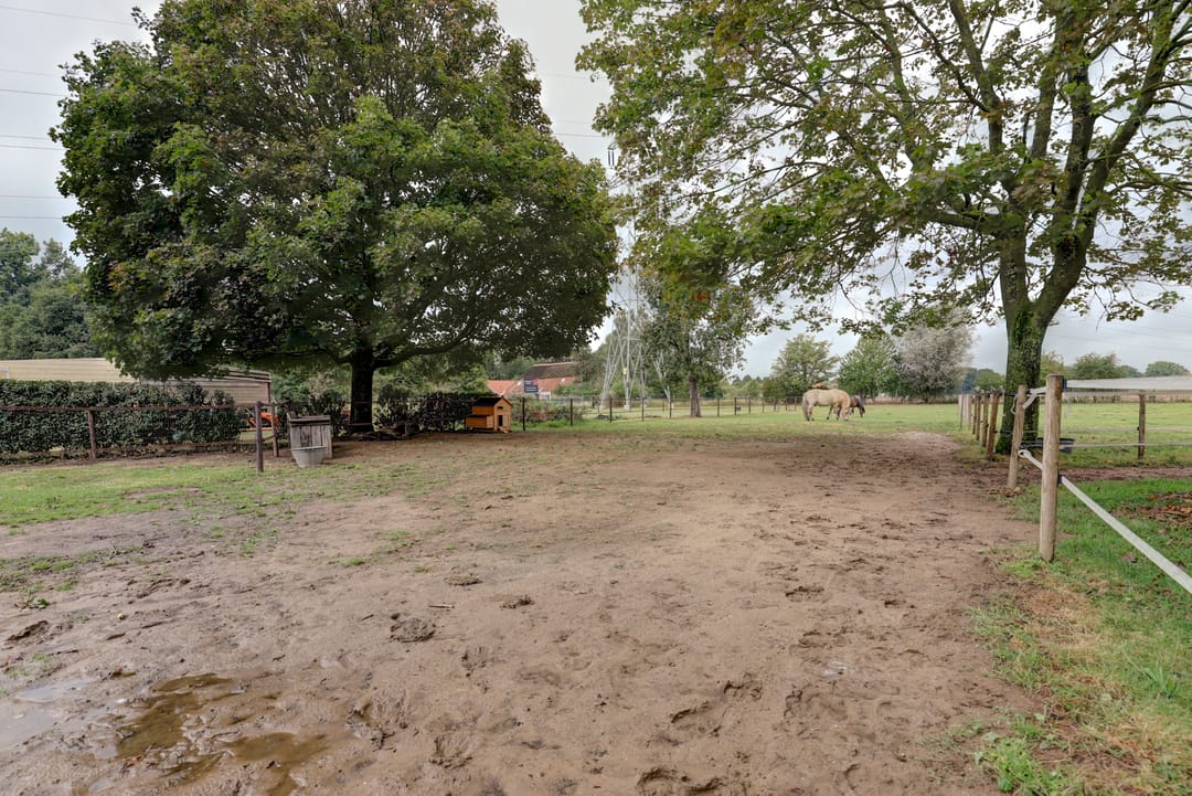 Foto 38 van Vierakkersestraatweg 3