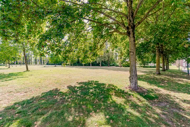 Foto 49 van het Spaarne 14