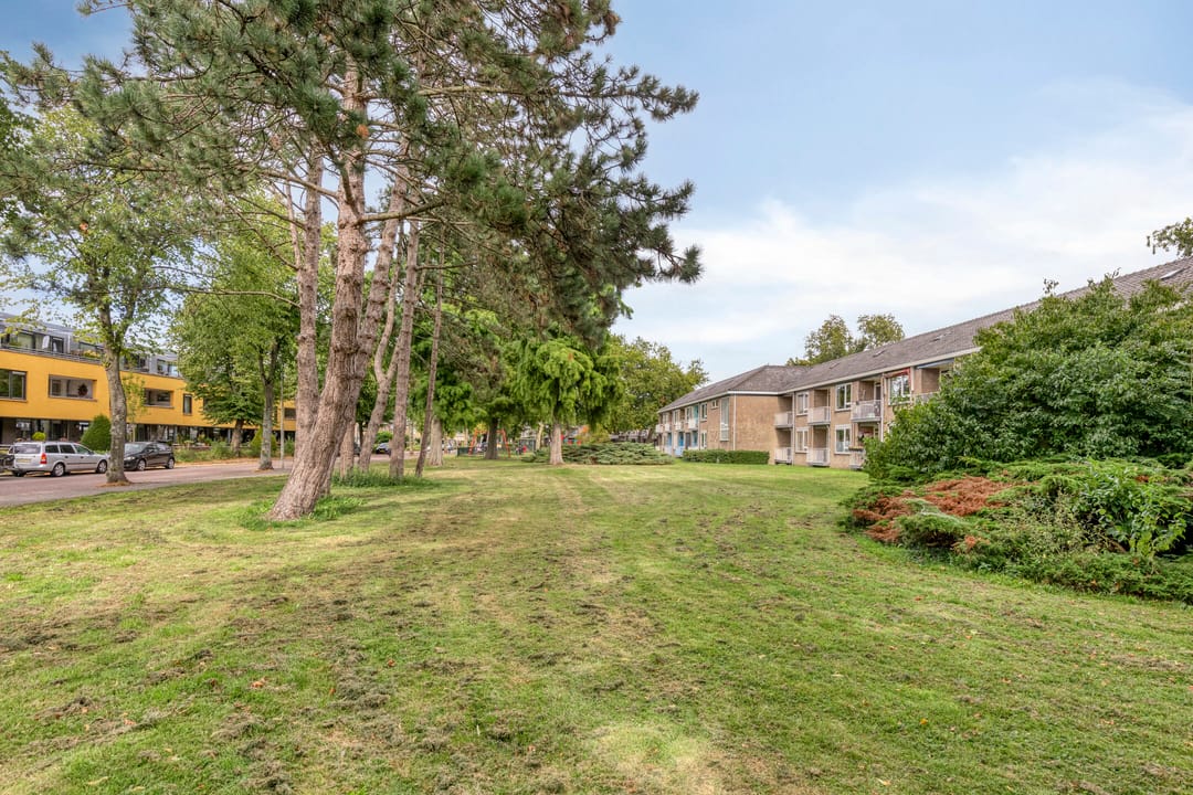 Foto 46 van Delftlaan 29