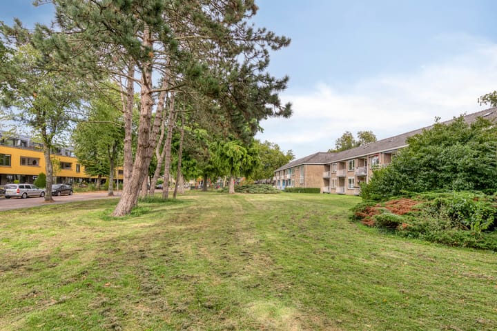 Foto 46 van Delftlaan 29