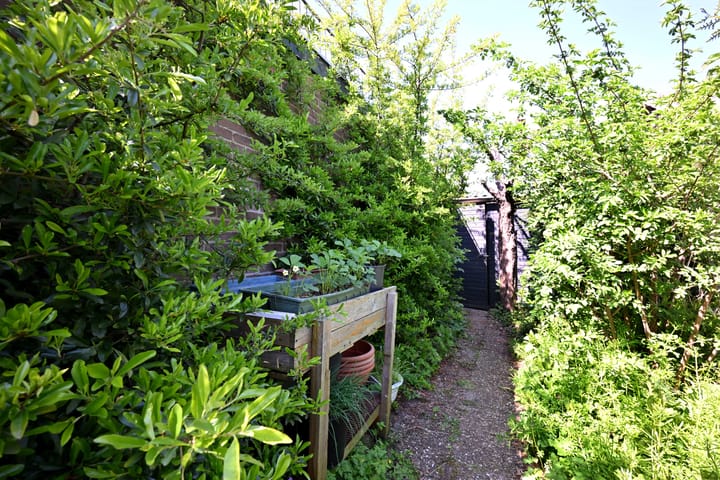 Photo 52 of Bleerhorstdijk OZ 5