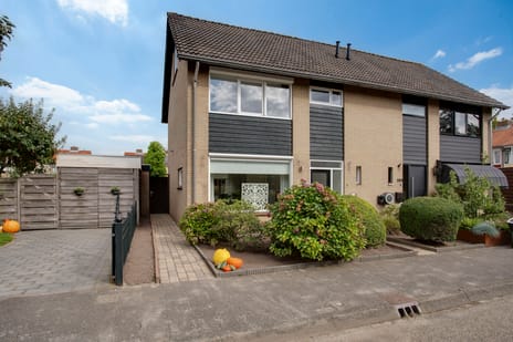 undefined main image