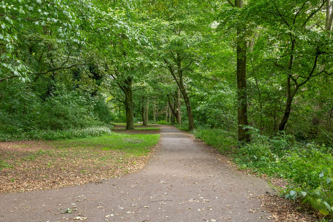 Foto 38 van Bosboomlaan 14-C