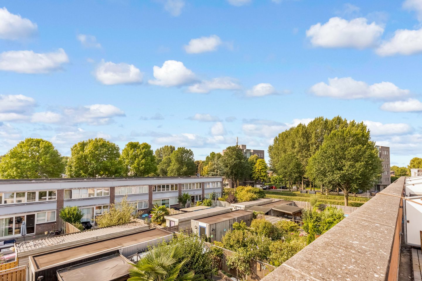 Foto 44 van Aalbessenstraat 17