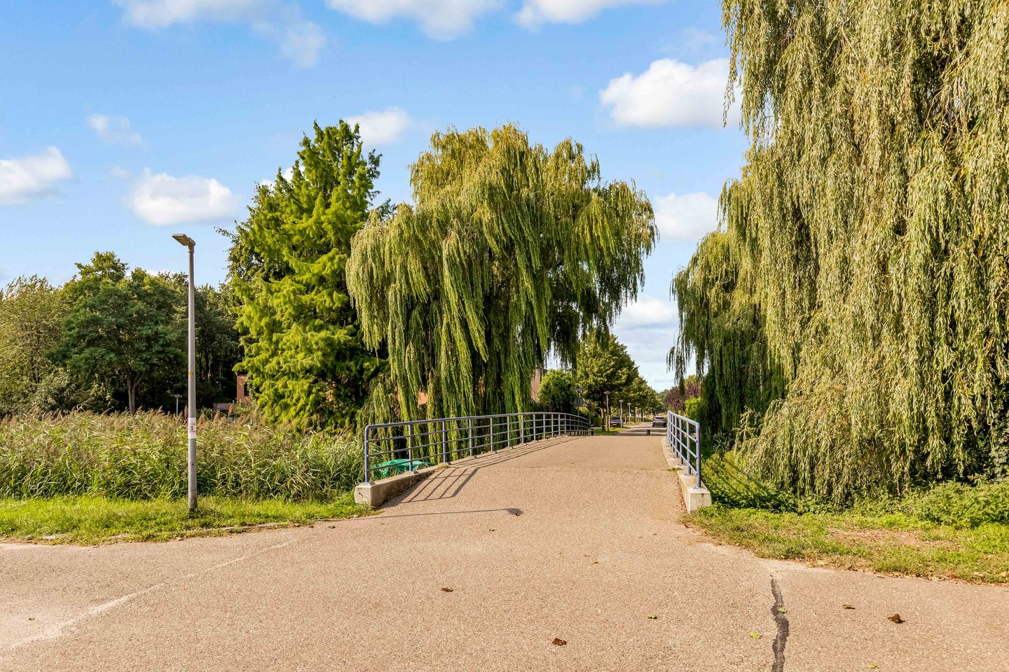 Foto 70 van Aalbessenstraat 17