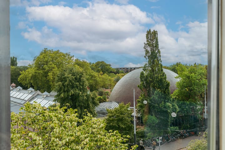 Foto 5 van Plantage Kerklaan 181