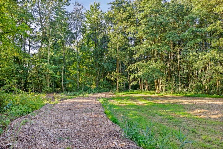 Foto 32 van Martin Luther Kinglaan 194