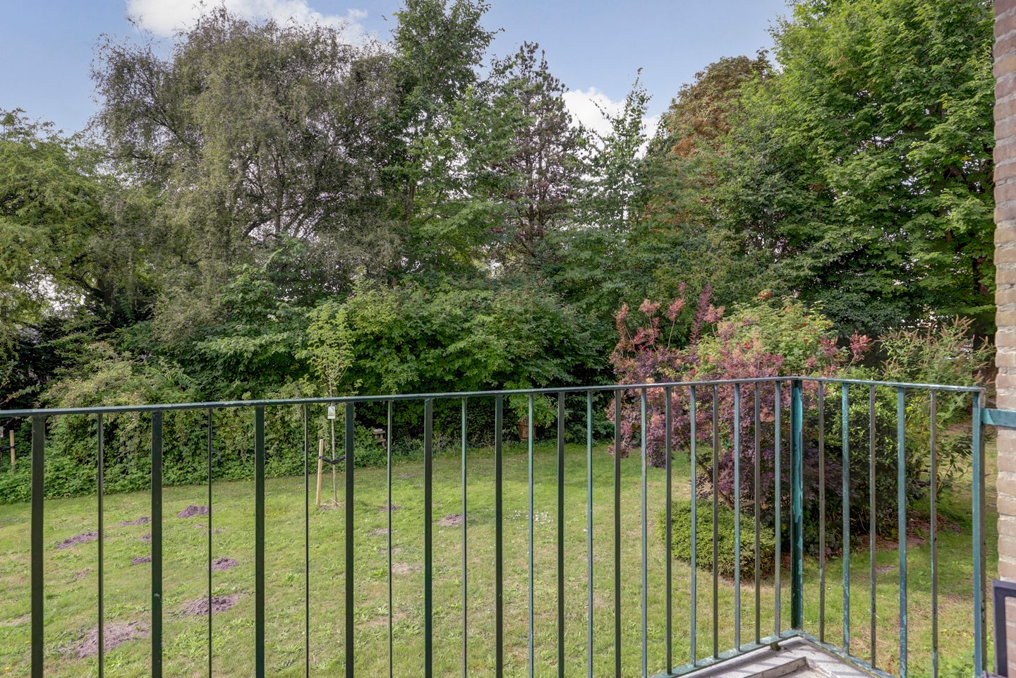 Foto 10 van Terborchlaan 127