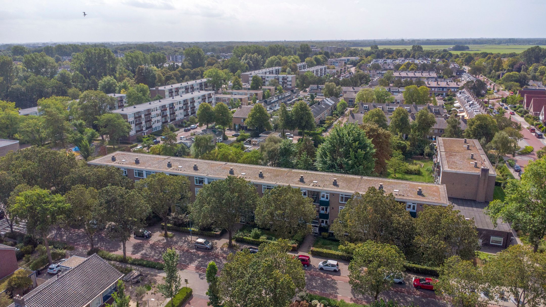 Foto 27 van Terborchlaan 127