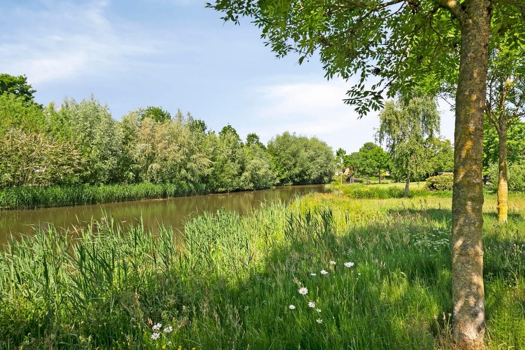 Foto 46 van Uilebaardlaan 45