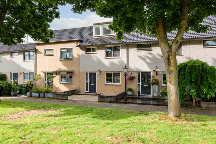 Foto 2 van Gele Varaan 25