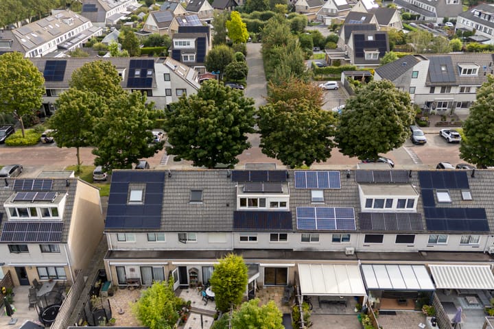 Foto 4 van Gele Varaan 25