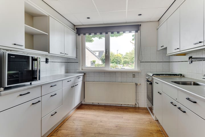 Foto 15 van Gele Varaan 25