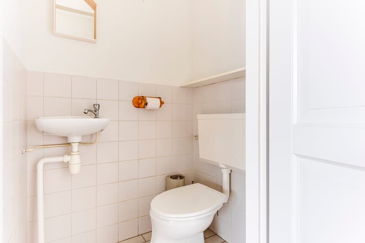 Foto 18 van Gele Varaan 25