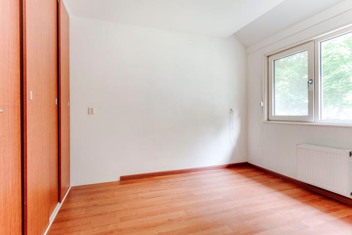 Foto 19 van Gele Varaan 25