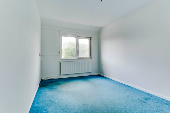 Foto 22 van Gele Varaan 25