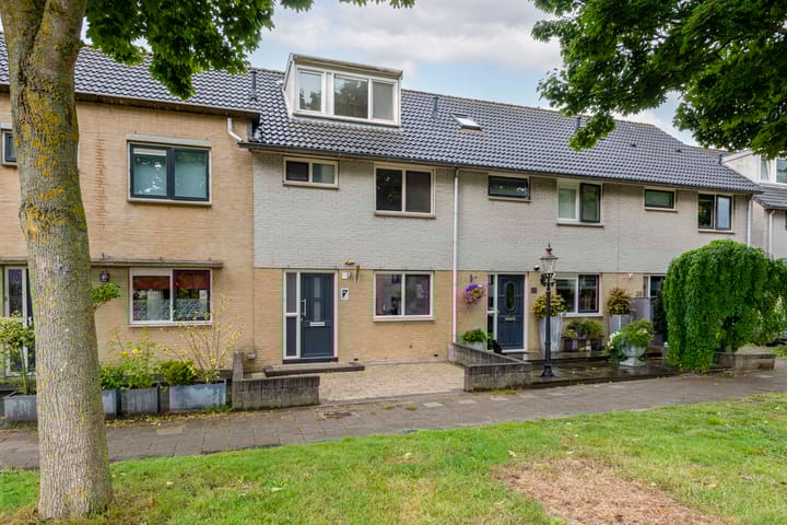 Foto 39 van Gele Varaan 25