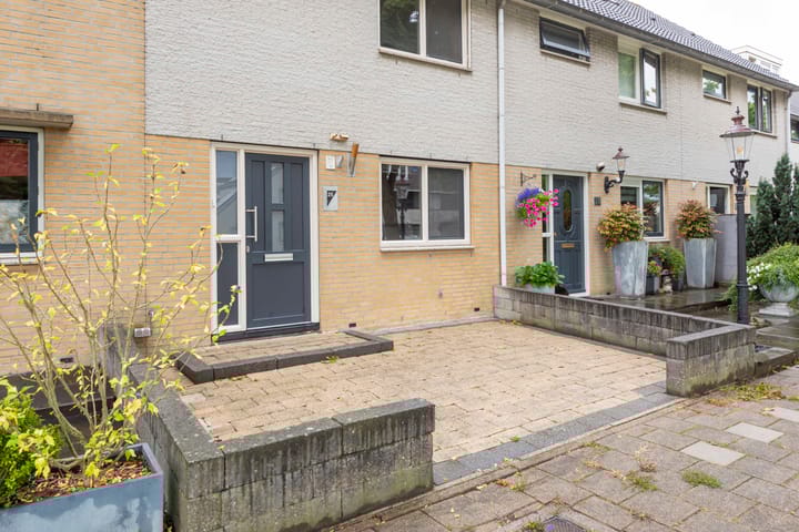 Foto 40 van Gele Varaan 25