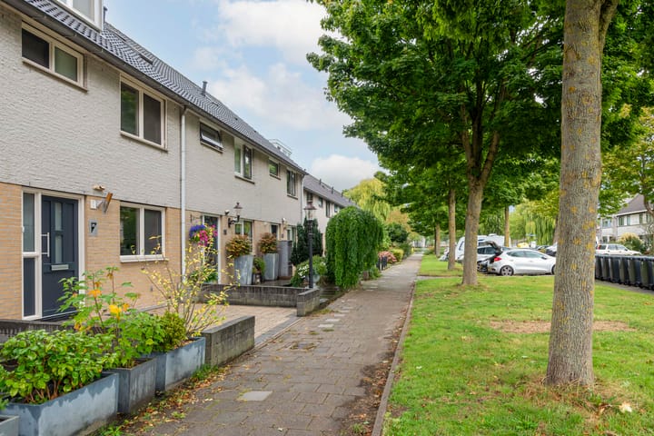 Foto 41 van Gele Varaan 25