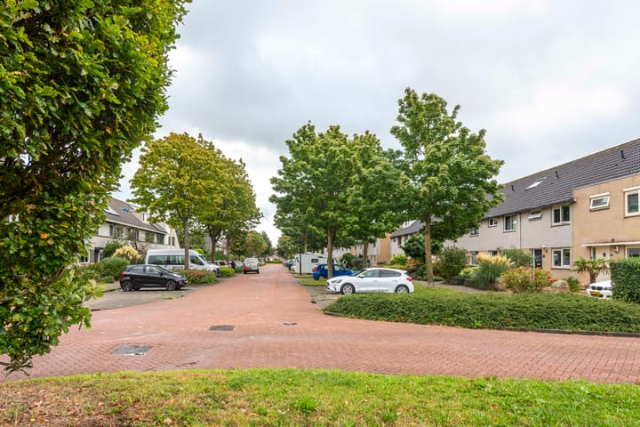 Foto 42 van Gele Varaan 25