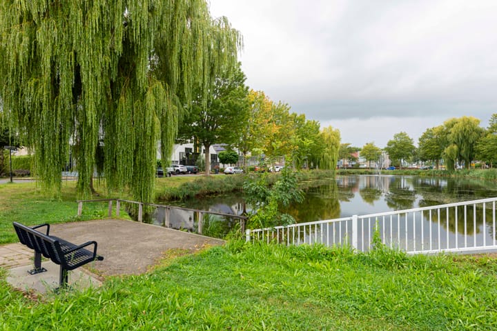 Foto 44 van Gele Varaan 25