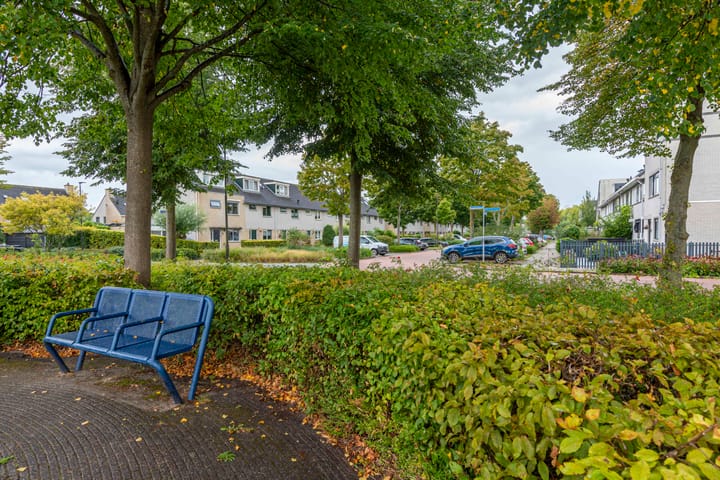 Foto 45 van Gele Varaan 25