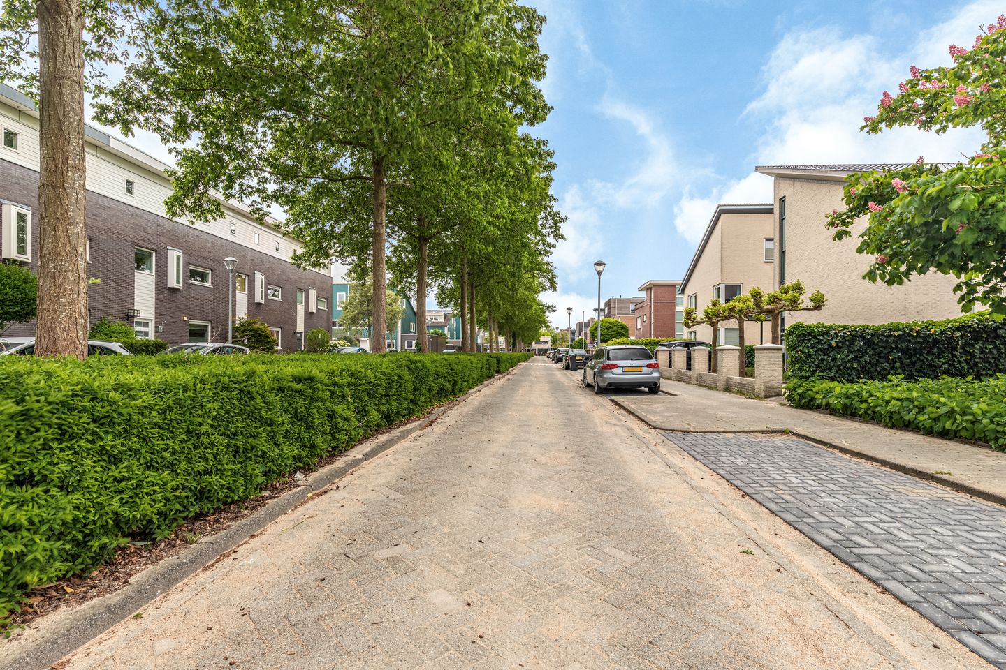 Photo 49 of Frederiksveld 18