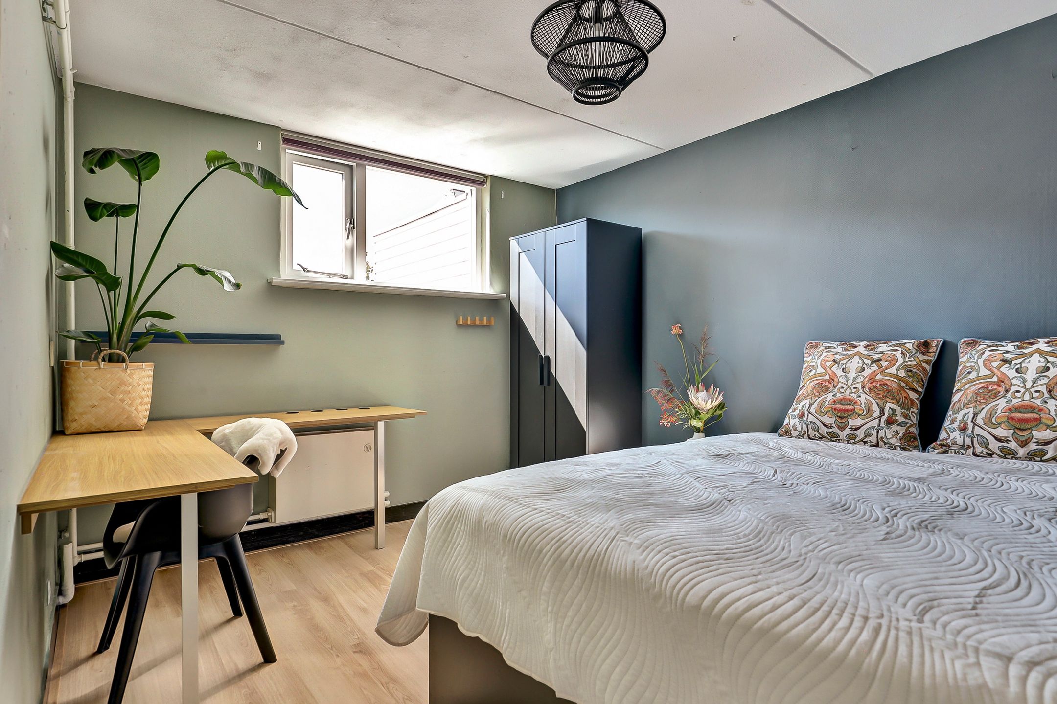 Foto 3 van Duizendroed 48