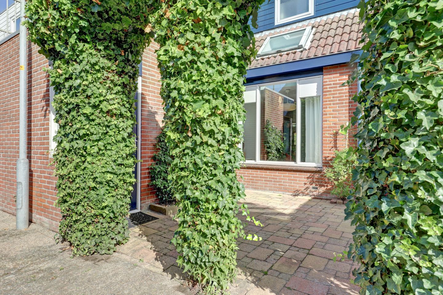 Foto 35 van Duizendroed 48