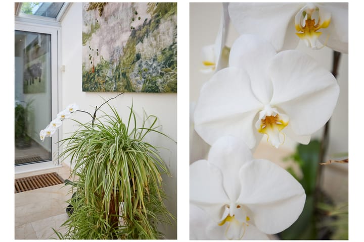 Photo 31 of Rusthofflaan 9