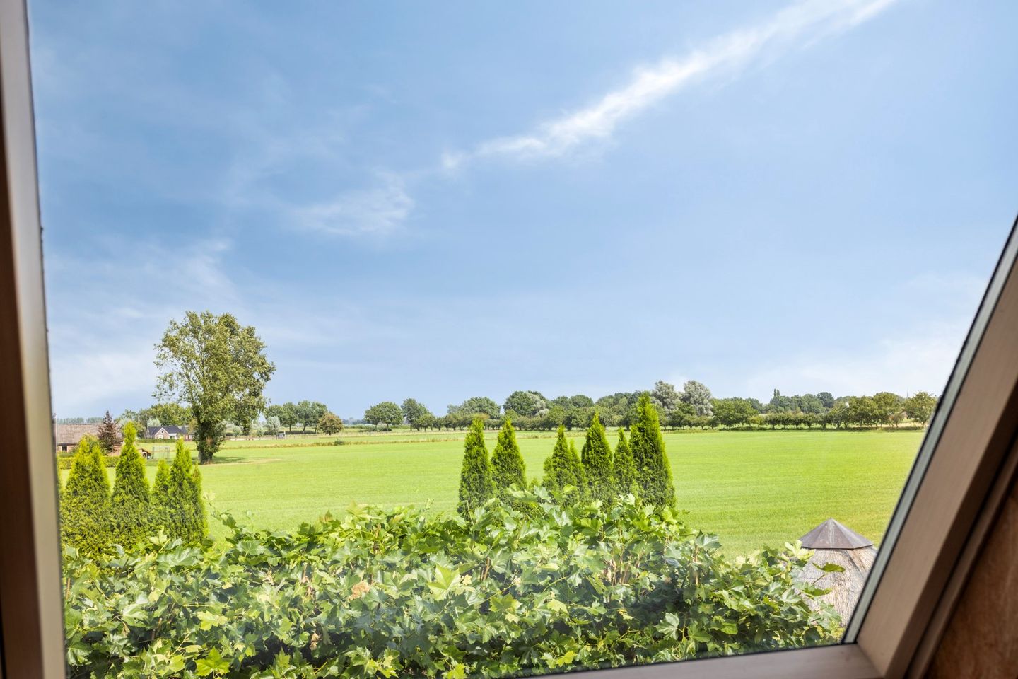 Foto 29 van Smeestraat 1