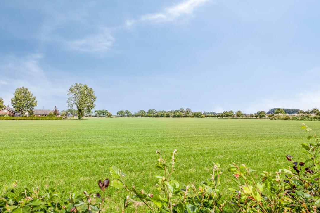 Foto 43 van Smeestraat 1