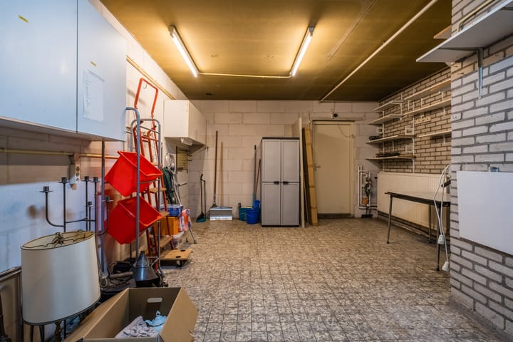 Foto 38 van Bosrand 100