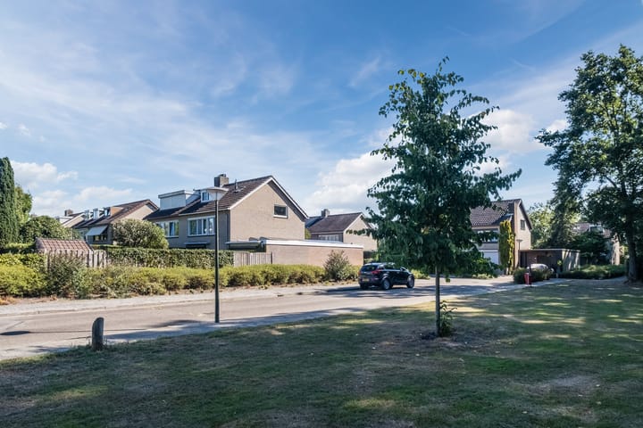 Foto 42 van Bosrand 100