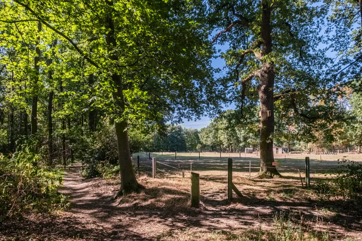 Foto 43 van Bosrand 100