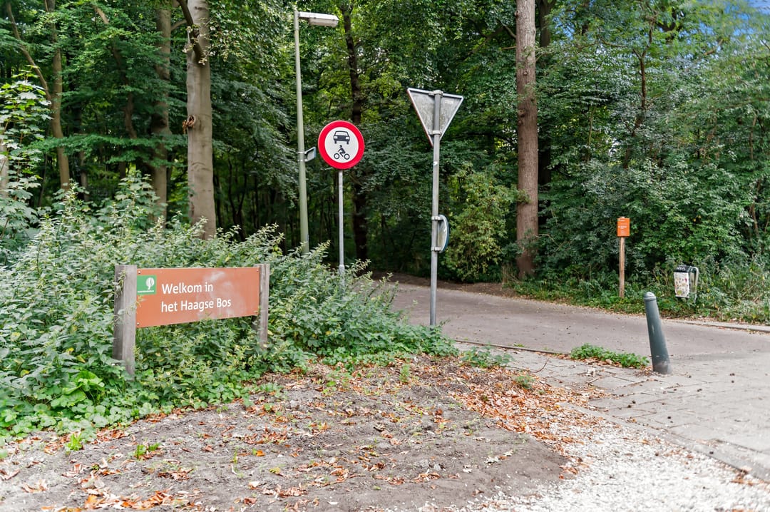 Photo 68 of Van Alkemadelaan 2