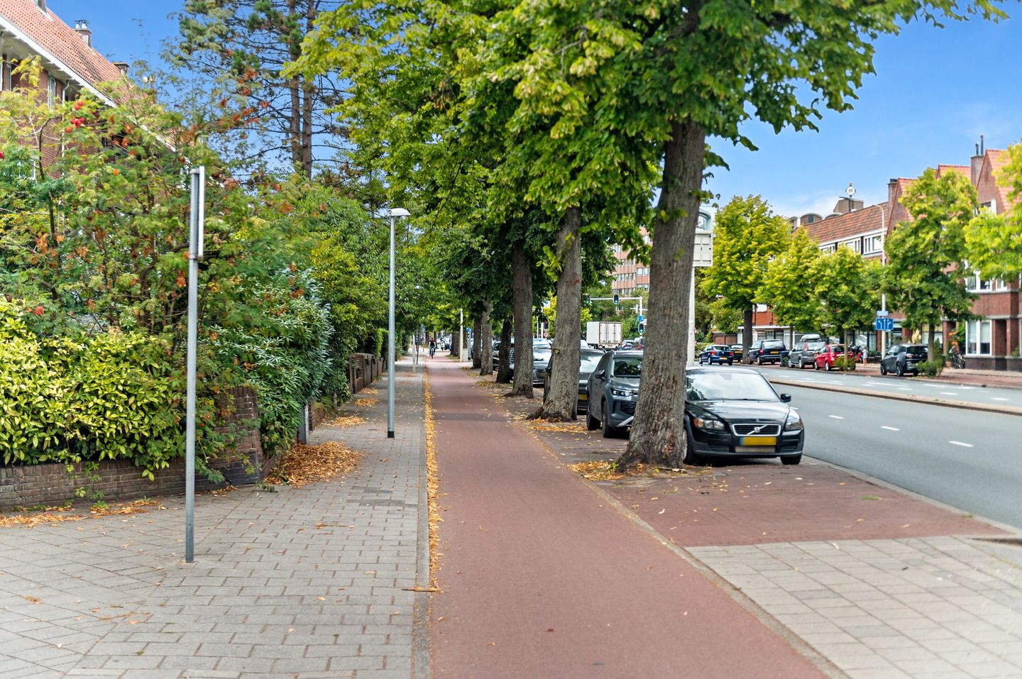 Photo 70 of Van Alkemadelaan 2